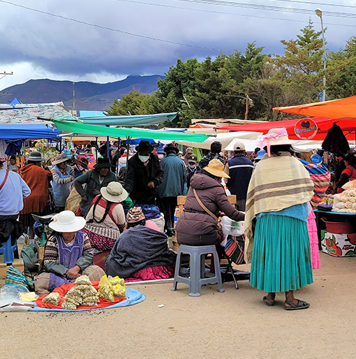 fotogaleria-impact-evaluation-of-agr-program-in-bolivia11