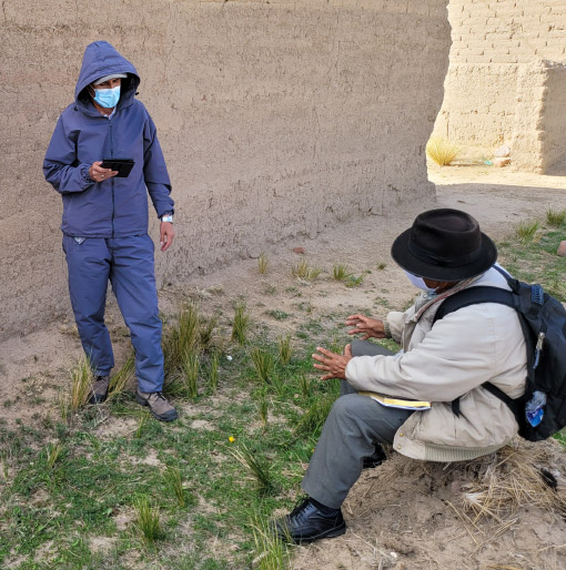 fotogaleria_impact-evaluation-of-agr-program-in-bolivia3